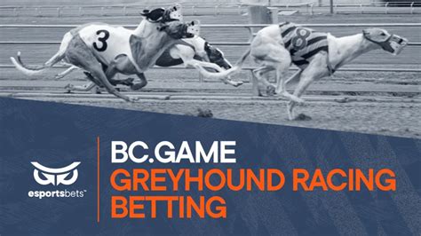 greyhounds odds|Greyhound Betting Odds .